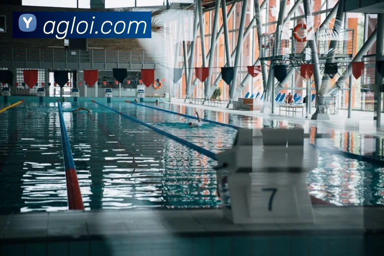 ag官网平台生态图